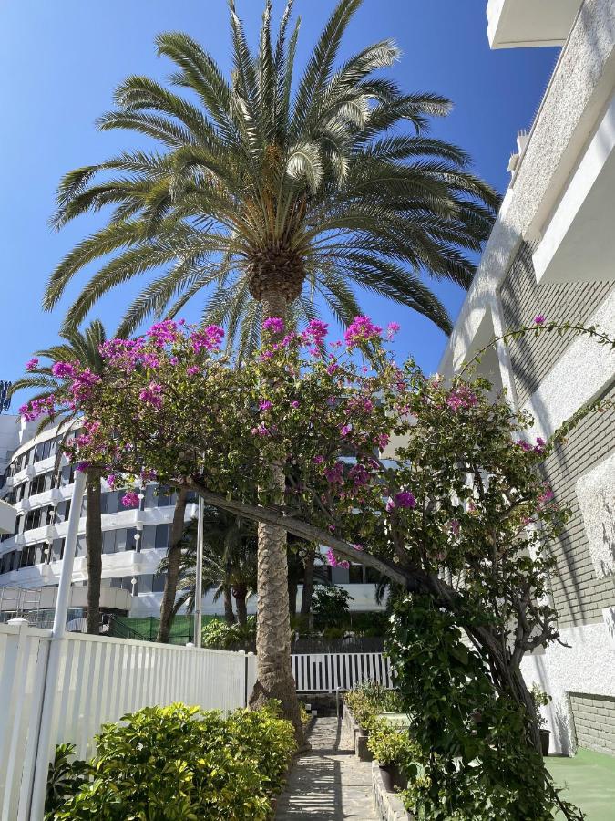 Oasis Playa Maspalomas Apartment Maspalomas  Exterior photo